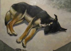 2015, Le chien de Tortuguero, huile sur toile, 30''x24''