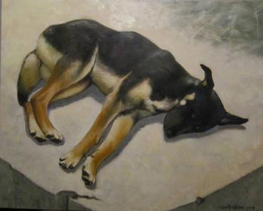 2015, Le chien de Tortuguero, huile sur toile, 30''x24''